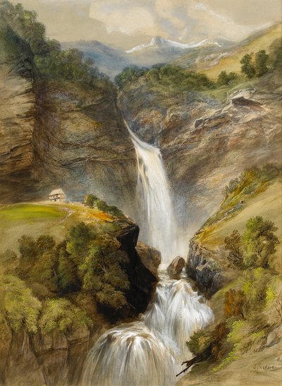 The Reichenbach Falls, Switzerland by Samuel Jackson